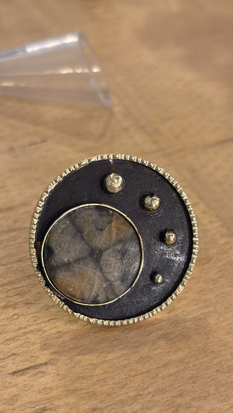 Anillos
